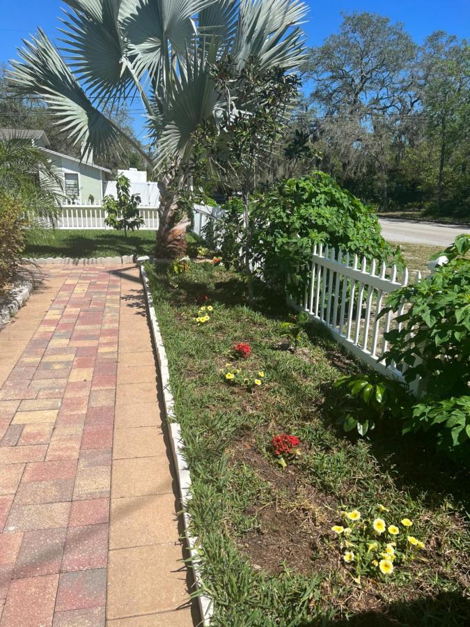 Caribbean Splendor Vacation Rental Near Bush Gardens Tampa Fl Экстерьер фото